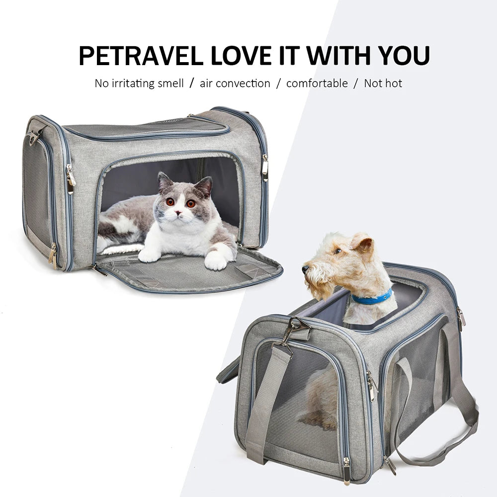 Pet Carrier Bags  Backpack   Airline Approved