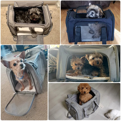 Pet Carrier Bags  Backpack   Airline Approved