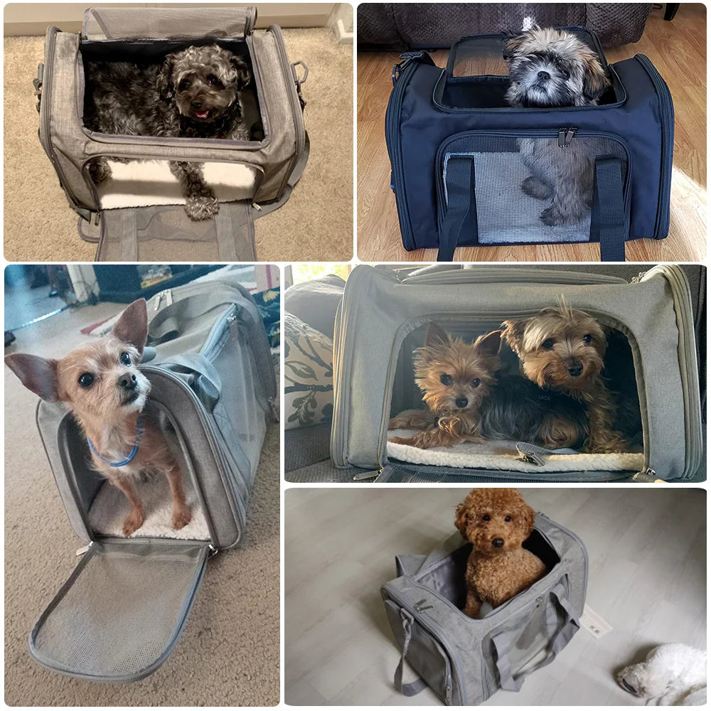 Pet Carrier Bags  Backpack   Airline Approved